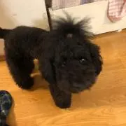 みや