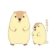a-n まとめ値引き対応します！の画像