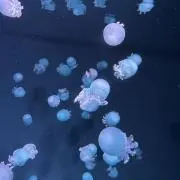 燈の画像
