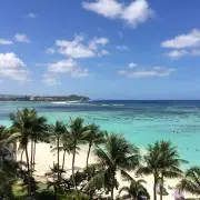 みっきーの画像