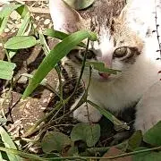 みかん☆