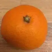 みかんの画像