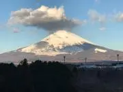 ぶるの画像
