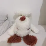 ぴかの画像
