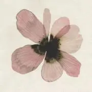 wny．の画像