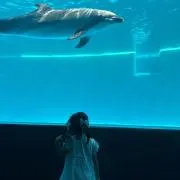 リ　ゴック　トゥイ