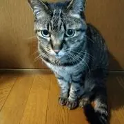 まりぽんの画像