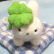 cl0verの画像