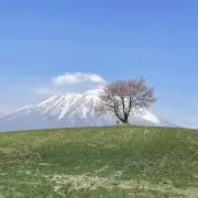 a-i＊プロフィールご覧ください＊の画像
