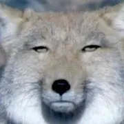 ゆ〜
