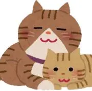 フォロー歓迎　買取販売　ねこねこ堂の画像