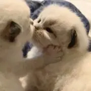 ^_^