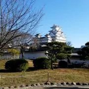 蘭太郎の画像