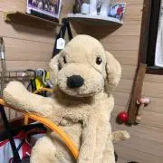 ジミーの画像