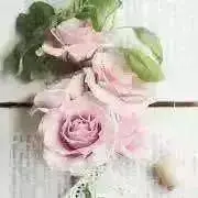 みらの♡プロフ必読♡