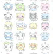 きるあちゃんの画像