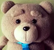 テッド（プロフィールお読みください）の画像