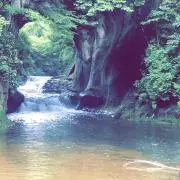むーむーの画像