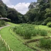 yabumucoの画像