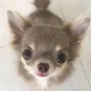 ²の画像
