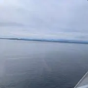 リラダの画像