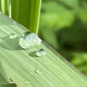 ☆の画像