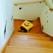 もも