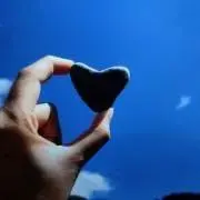 ようかんの画像