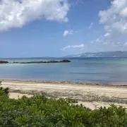 Sea☆の画像