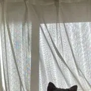 るる
