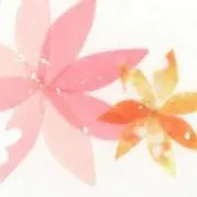 ねこの画像