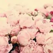☆marc☆の画像