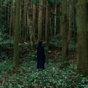 あんの画像