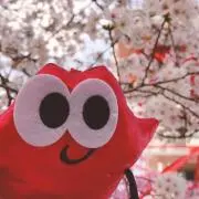にっぴ