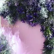 キティの画像