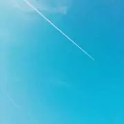 ドビーの画像