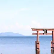スグ　【値段交渉歓迎】の画像