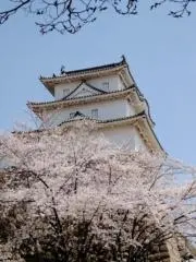 ma_senseiの画像