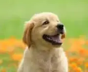 エリーの画像