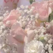 Lily ‎❀の画像