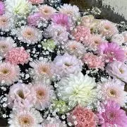 73の画像