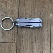 Vsg10