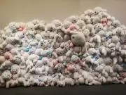 わかたけるの画像
