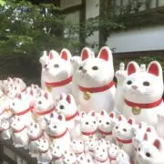 のんの画像