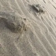 to-の画像