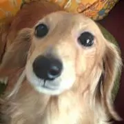 NANA