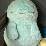 Kiyeの画像