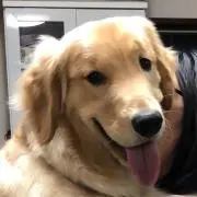 moneの画像