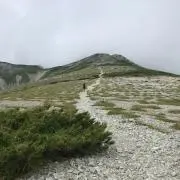 ☆エフォート☆の画像