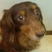 マ(*^^*)マ
